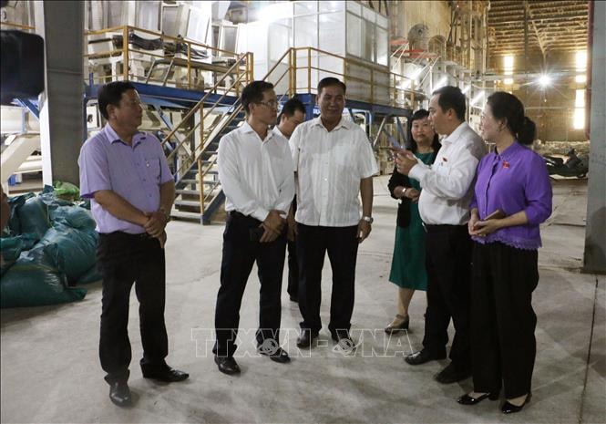 Tháo gỡ khó khăn cho doanh nghiệp sản xuất, kinh doanh lúa gạo