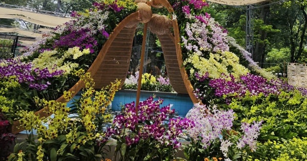 Ngành hoa Đà Lạt "sốc" vì bão hủy đơn hàng trước ngày khai giảng