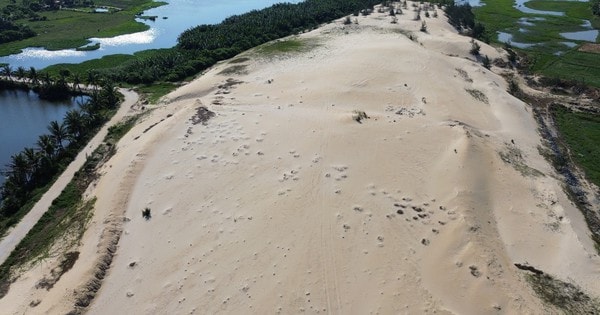 Đấu giá thành công lô cát nạo vét "khủng" ở Đà Nẵng, thu về 49 tỉ đồng