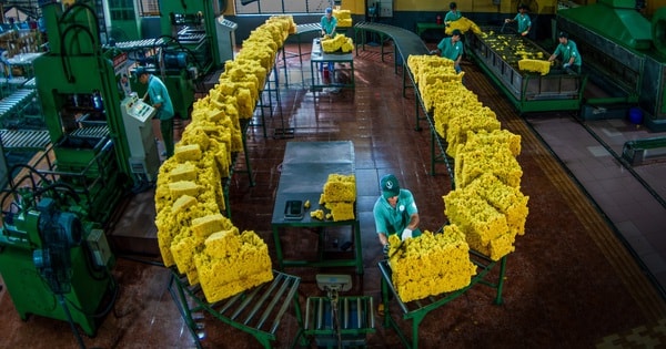 VRG đáp ứng EUDR, tiên phong chứng nhận cao su phát thải thấp