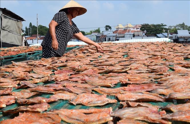Làng nghề cá khô giải quyết việc làm cho hàng trăm lao động vùng biển