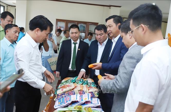 Mở ra hướng hợp tác mới trong lĩnh vực nông nghiệp Việt Nam - Lào