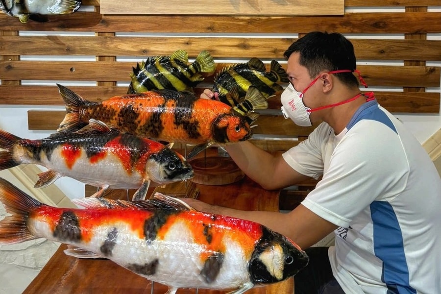 9X bỏ túi hàng trăm triệu đồng mỗi năm nhờ "nuôi" cá treo tường