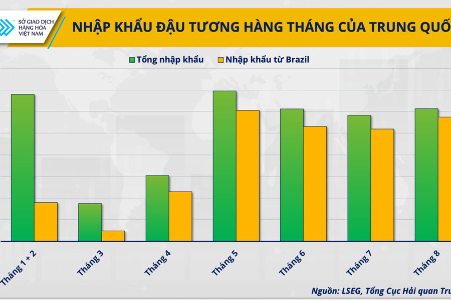 Thị trường đậu tương cuối năm 2025: Áp lực dư cung hay cơ hội phục hồi giá?