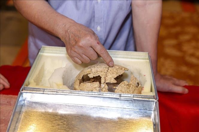 Ninh Bình phát huy giá trị chứng tích sinh học cách đây gần 13.000 năm