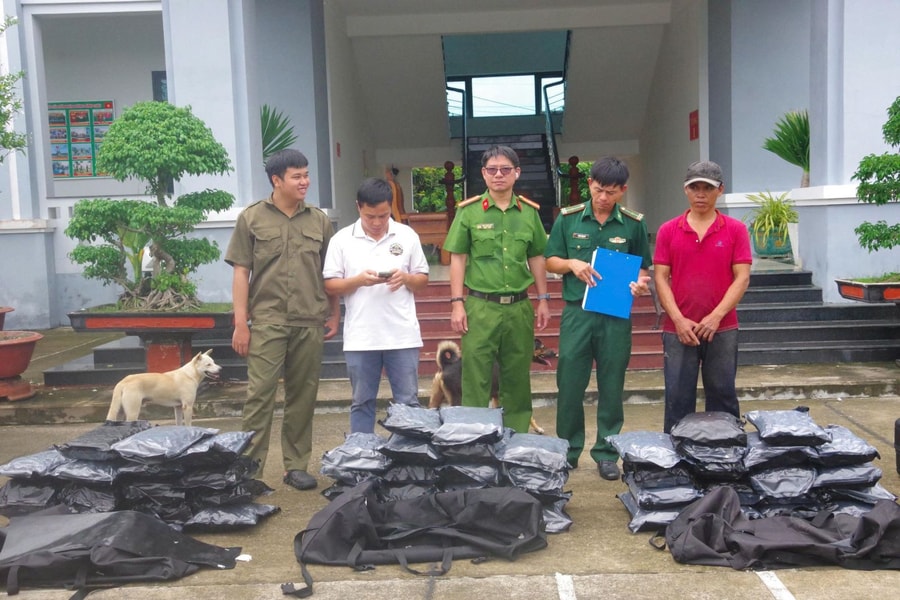 TP Hồ Chí Minh: Phát hiện hơn 81 kg cần sa khô trôi trên biển Bình Châu