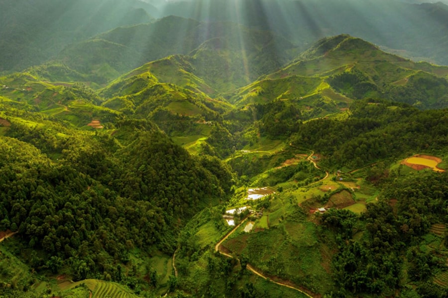 Việt Nam thúc đẩy chuỗi cung ứng gỗ hợp pháp, hướng tới phát triển bền vững