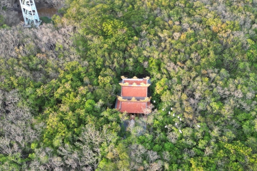 Căn hầm bí mật và tàn tích đình làng cổ dưới khu rừng đến thu là đổi màu