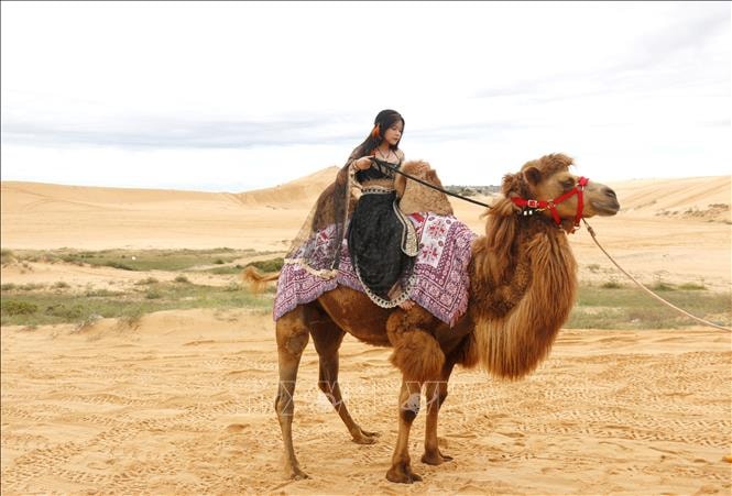 Cơ hội trải nghiệm miễn phí thắng cảnh Bàu Trắng