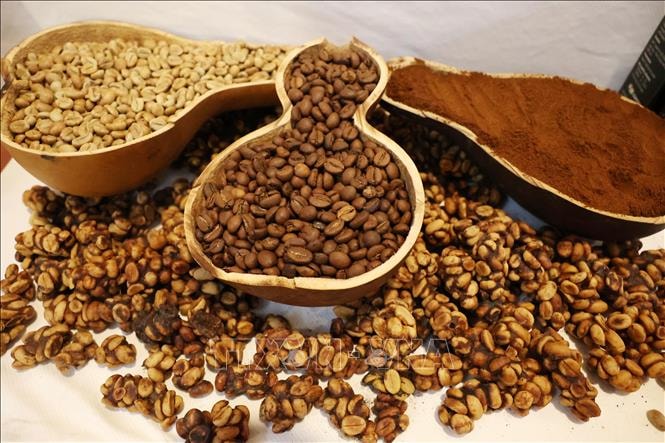 Cà phê Việt chinh phục người tiêu dùng Pháp