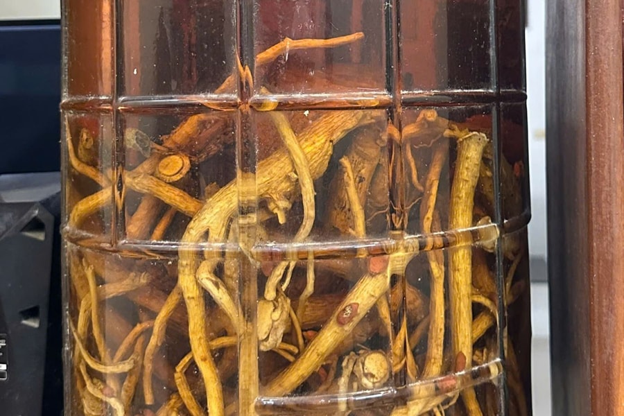 Cảnh báo ngộ độc methanol từ rượu ngâm, rượu tự pha