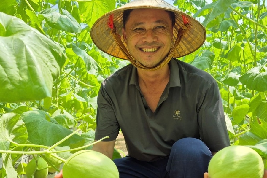 Nông dân chỉ học hết lớp 2 thành triệu phú nhờ trồng dưa quý