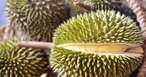 Trung Quốc tiếp tục tăng kiểm tra an toàn thực phẩm, nhất là sầu riêng