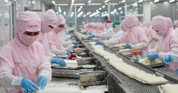 COFIDEC xanh hóa sản xuất, vươn tầm thủy sản Việt