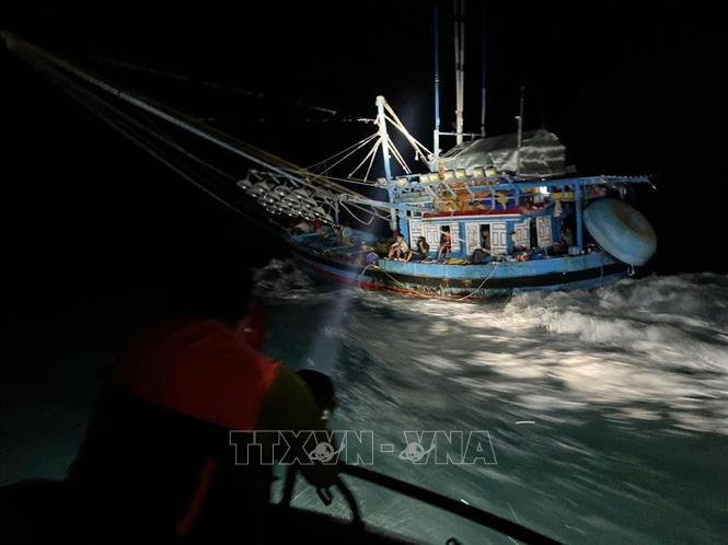 Vườn Quốc gia Côn Đảo gặp khó trong bảo tồn tài nguyên rừng và biển