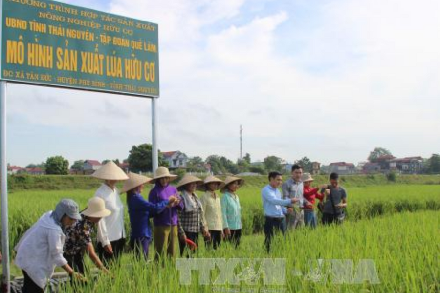Hội nghị Hữu cơ châu Á lần thứ 8: Đưa nông nghiệp hữu cơ bứt phá