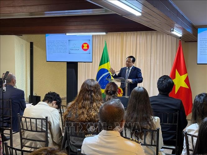 Tiềm năng và cơ hội hợp tác Việt Nam - Mercosur