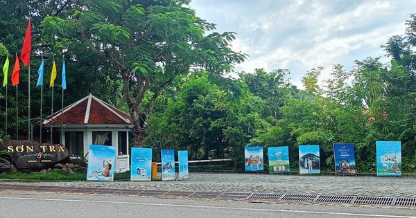 Một resort tại bán đảo Sơn Trà bị xử phạt vì không có giấy phép môi trường