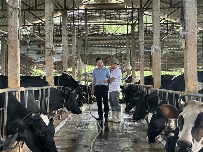 Nhà khoa học của nhà nông và khát vọng nâng tầm nông sản địa phương