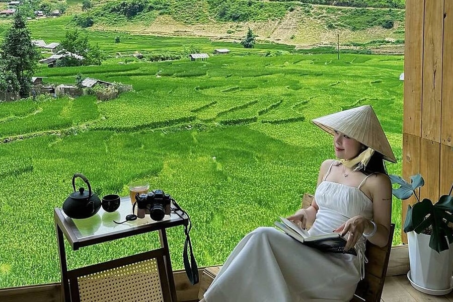 Uống cà phê ngắm lúa chín 'ngay trước mắt' ở Sa Pa