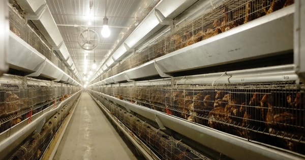 Bùng nổ IPO sau nhiều năm lặng sóng