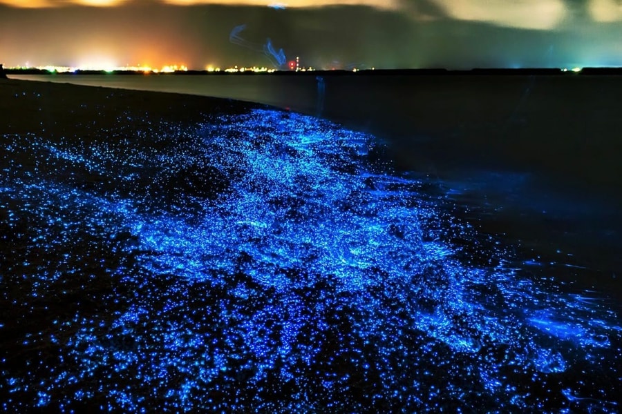 Bí mật về vùng biển đêm ma thuật ở Maldives