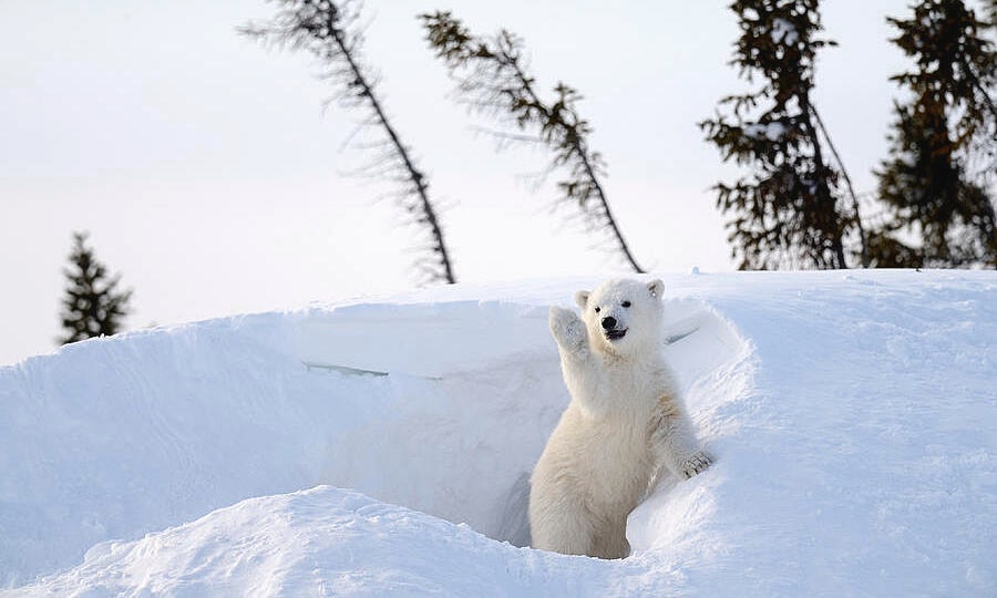 Nơi người dân không khóa cửa để chạy thoát nhanh nhất