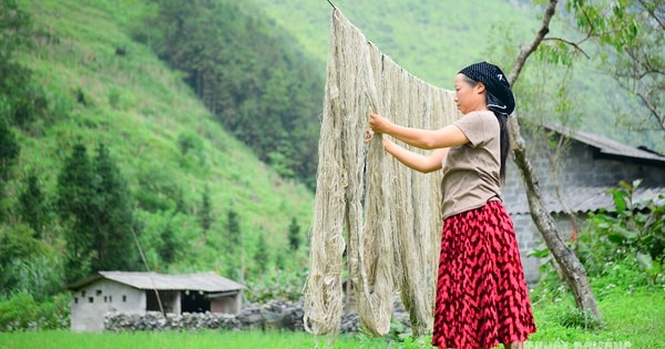 Phố Cáo - Miền cổ tích giữa cao nguyên đá Đồng Văn
