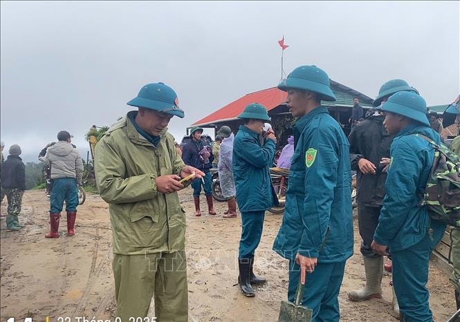 Cụ ông 78 tuổi mất tích khi đi hái nấm trong rừng