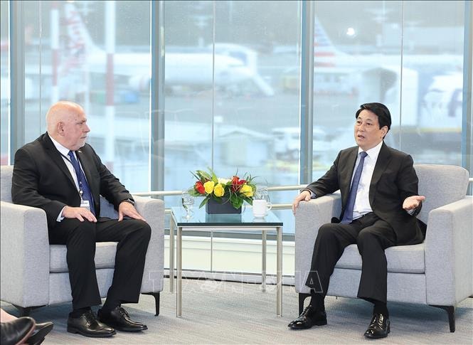 Chủ tịch nước Lương Cường tiếp Chủ tịch Tập đoàn Costco