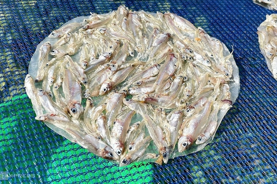 Đặc sản cá cơm bằng ngón út trên sông Sê San