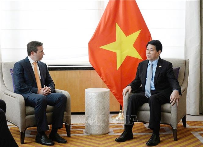 Chủ tịch nước Lương Cường tiếp Giám đốc điều hành Quỹ Đầu tư Warburg Pincus