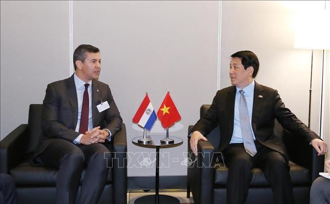 Chủ tịch nước Lương Cường gặp Tổng thống Paraguay Santiago Peña Palacios