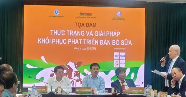 Chuyện gì đang xảy ra ở nhiều "thủ phủ bò sữa"?