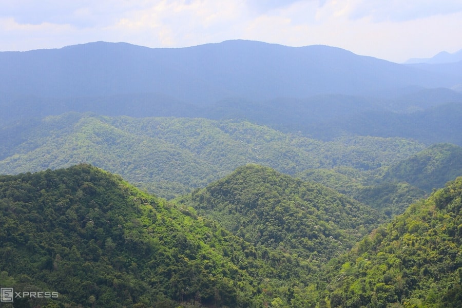 Việt Nam có thể thu 1,9 tỷ USD hàng năm khi bán tín chỉ carbon quốc tế