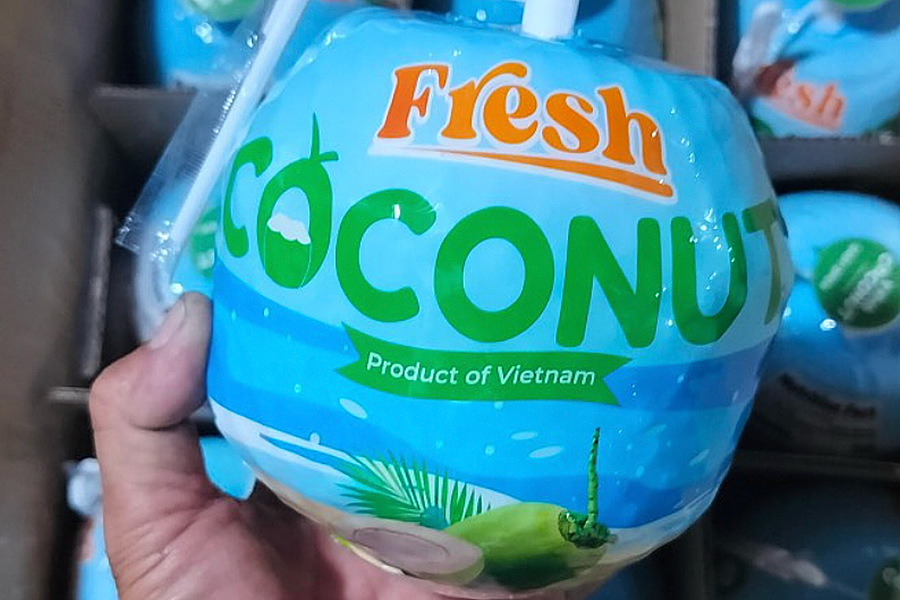 Mỹ vượt Trung Quốc thành thị trường nhập dừa lớn nhất của Việt Nam