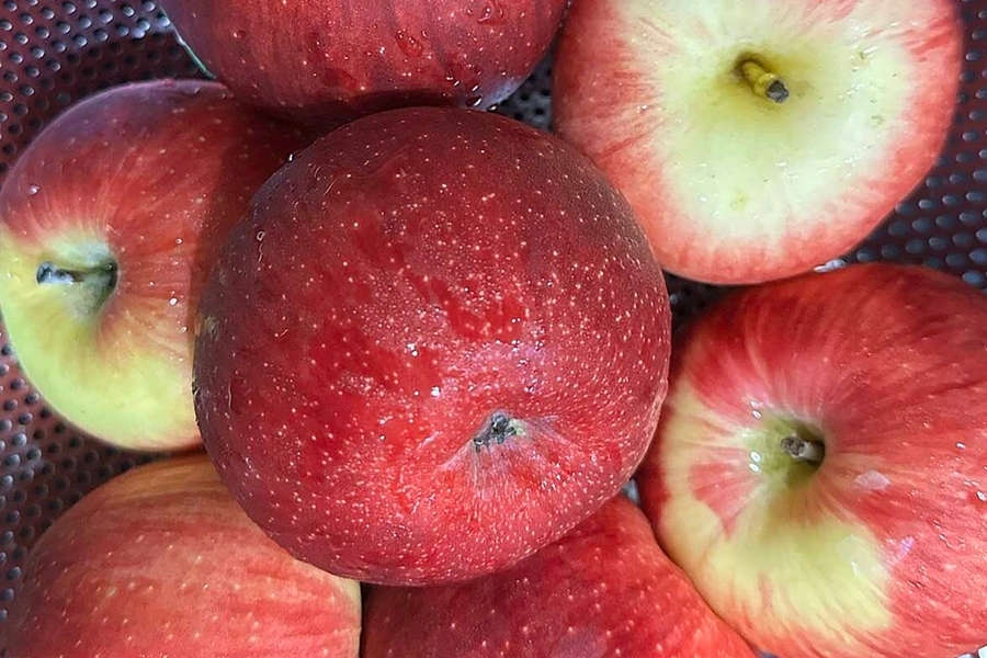 Điều gì xảy ra với huyết áp khi ăn một quả táo mỗi ngày?