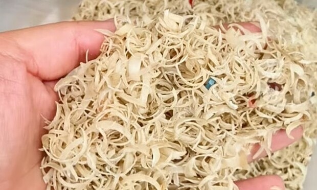 Thu mua móng tay người giá cao ở Trung Quốc