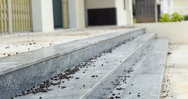 Phường ở Đà Nẵng giải thích lý do xây chợ tiền tỉ xa khu dân cư