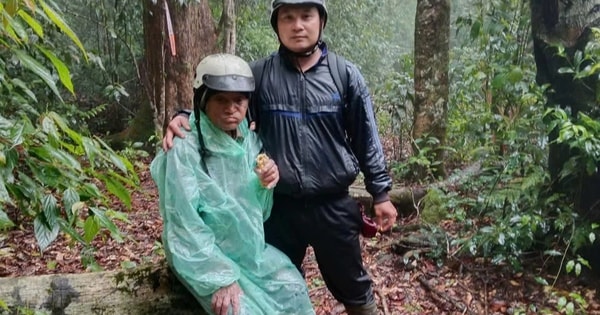 6 ngày sinh tồn trong rừng sâu của cụ ông 78 tuổi ở Lâm Đồng