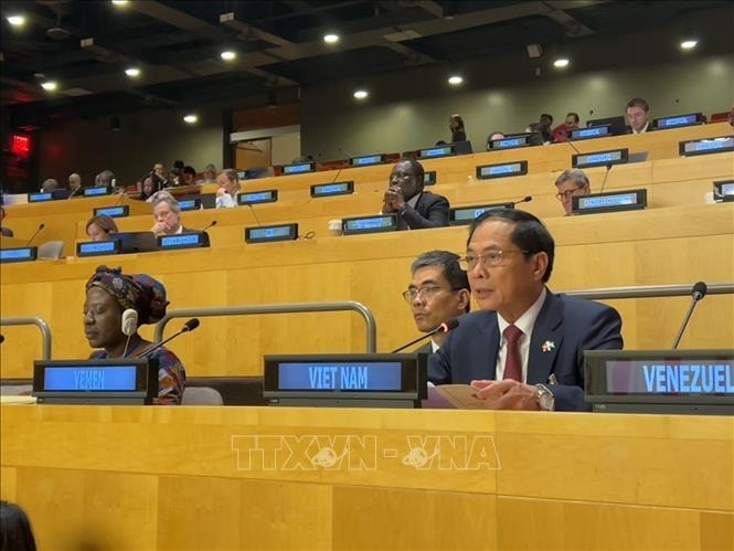 Phó Thủ tướng Bùi Thanh Sơn dự Hội nghị Thượng đỉnh về nền kinh tế toàn cầu bền vững, bao trùm có sức chống chịu