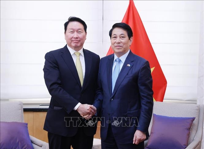 Chủ tịch nước Lương Cường tiếp Chủ tịch Tập đoàn SK Group