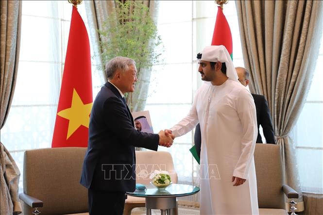 Phó Thủ tướng Thường trực Chính phủ Nguyễn Hòa Bình tiếp các quan chức và lãnh đạo doanh nghiệp UAE