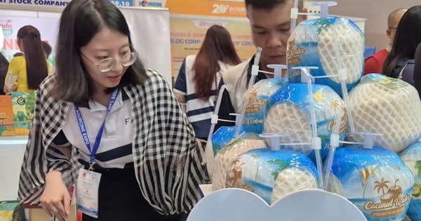 Xuất khẩu dừa của Việt Nam sang Campuchia tăng đột biến, gấp 681 lần cùng kỳ