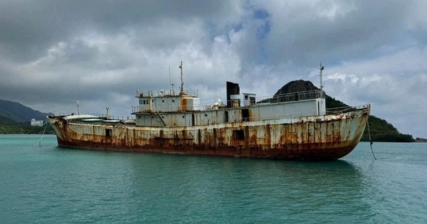 Đấu giá thành công "con tàu ma" Sheng Li đang neo đậu ở Côn Đảo