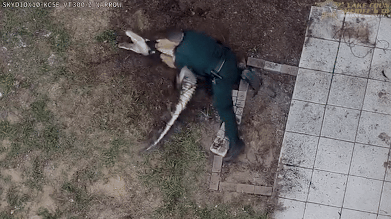 Cảnh sát Mỹ quăng dây, khống chế cá sấu đột nhập nhà dân