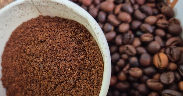 Giá cà phê hôm nay 26-9: Robusta lao dốc, Trung Quốc giảm mua cà phê Việt