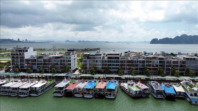 Ứng phó bão số 10: Quảng Ninh dừng cấp phép tàu