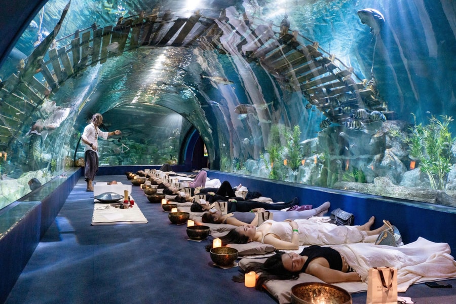 Khách chi gần triệu đồng tập yoga, ngắm cá bơi ở thuỷ cung