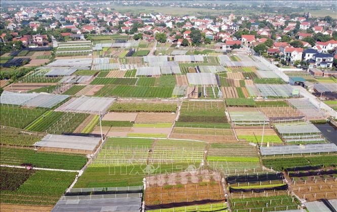 Quy định mới về thành lập Quỹ hợp tác xã địa phương hoạt động theo mô hình hợp tác xã